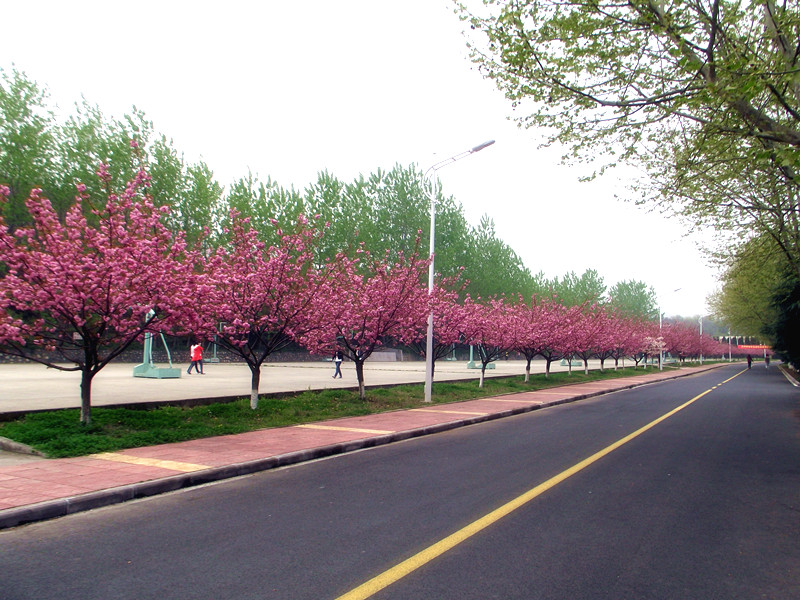 南京华东信息工程学校
